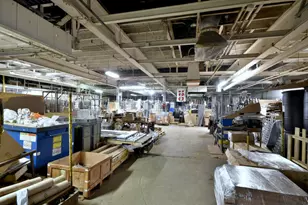 859 N Spaulding Ave, Chicago, IL 60651 - Photo 6