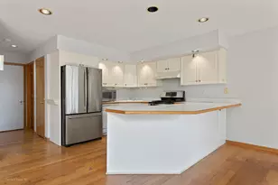 11127 Shenandoah Dr, Orland Park, IL 60467 - Photo 8