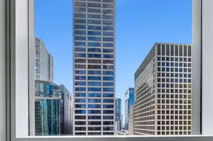 [Address not provided], Chicago, IL 60611 - Photo 22