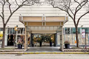 110 E Delaware Pl, Chicago, IL 60611 - Photo 2