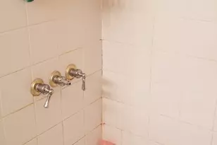 1534 W George St, Chicago, IL 60657 - Photo 8