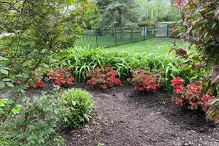 1256 Whitingham Cir, Naperville, IL 60540 - Photo 36