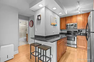 450 W Briar Pl, Chicago, IL 60657 - Photo 8