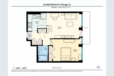 450 W Briar Place #3H, Chicago, IL 60657 - Photo 24
