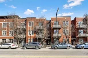 1351 S Halsted St, Chicago, IL 60607 - Photo 1