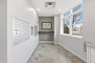 14 S Prospect St, Roselle, IL 60172 - Photo 30