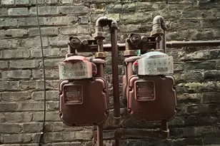 2819 W Lexington St, Chicago, IL 60612 - Photo 62