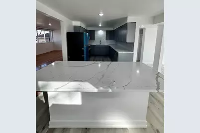 4656 W 87th Street #1, Chicago, IL 60652 - Photo 4