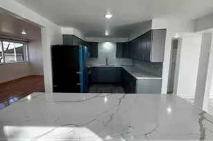 4656 W 87th St, Chicago, IL 60652 - Photo 4