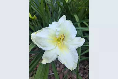 915 Willow Lane, Sleepy Hollow, IL 60118 - Photo 58