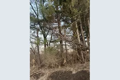 15757 Black Road, Lyndon, IL 61261 - Photo 4