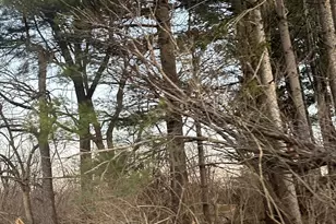 15757 Black Rd, Lyndon, IL 61261 - Photo 4