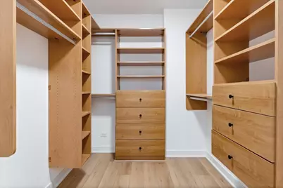 39 E Schiller Street #1E, Chicago, IL 60610 - Photo 22