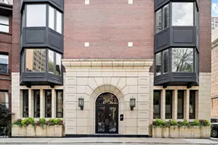 39 E Schiller St, Chicago, IL 60610 - Photo 1