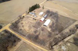 3651 N Brookeville Rd, Forreston, IL 61030 - Photo 4