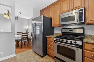 244 Steeplechase Ct, Schaumburg, IL 60173 - Photo 6