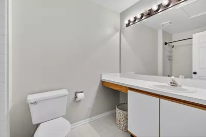 244 Steeplechase Court, Schaumburg, IL 60173 - Photo 18