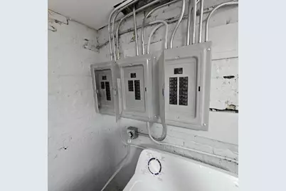 717 N Homan Avenue, Chicago, IL 60624 - Photo 46