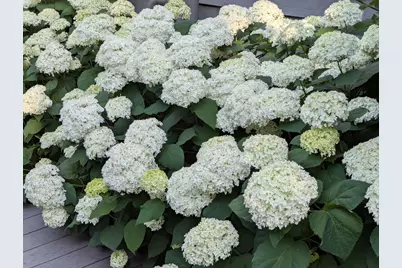 28360 Heritage Oak Road, Barrington, IL 60010 - Photo 96