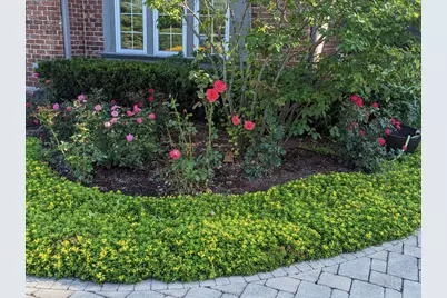 28360 Heritage Oak Road, Barrington, IL 60010 - Photo 84