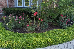 28360 Heritage Oak Rd, Barrington, IL 60010 - Photo 84