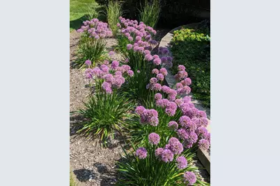 28360 Heritage Oak Road, Barrington, IL 60010 - Photo 86