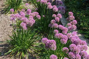 28360 Heritage Oak Rd, Barrington, IL 60010 - Photo 86