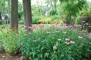 28360 Heritage Oak Rd, Barrington, IL 60010 - Photo 76