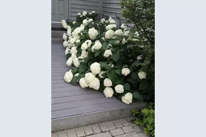 28360 Heritage Oak Road, Barrington, IL 60010 - Photo 90