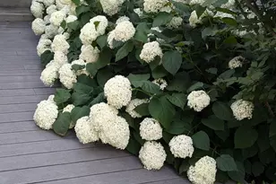 28360 Heritage Oak Rd, Barrington, IL 60010 - Photo 90