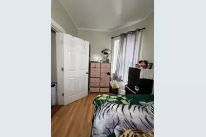 742 N Trumbull Avenue, Chicago, IL 60624 - Photo 28