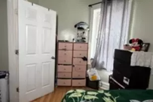 742 N Trumbull Ave, Chicago, IL 60624 - Photo 28