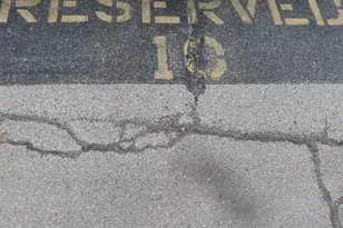 601 Linden Pl, Evanston, IL 60202 - Photo 18