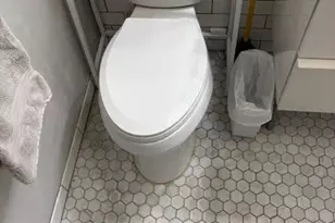 1255 N Sandburg Terrace, Chicago, IL 60610 - Photo 12