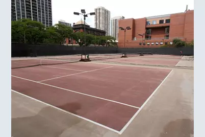 1255 N Sandburg Terrace #806, Chicago, IL 60610 - Photo 4