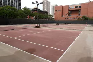 1255 N Sandburg Terrace, Chicago, IL 60610 - Photo 4