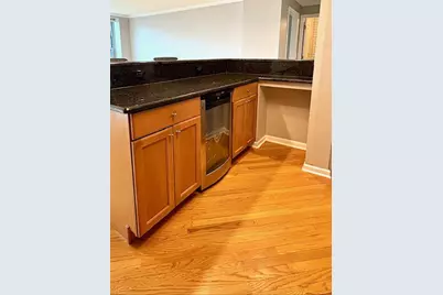 1255 N Sandburg Terrace #806, Chicago, IL 60610 - Photo 8