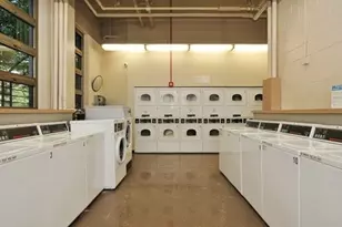 1255 N Sandburg Terrace, Chicago, IL 60610 - Photo 24