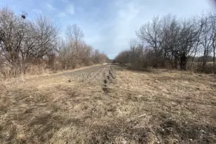 403 Rhodes Ave, Big Rock, IL 60511 - Photo 42