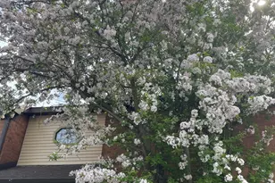 33561 N Royal Oak Ln, Grayslake, IL 60030 - Photo 26