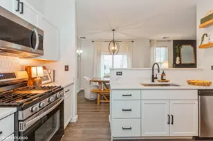 936 Moultrie Ct, Naperville, IL 60563 - Photo 12