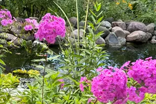 5304 Floralwood Ct, Plainfield, IL 60586 - Photo 28