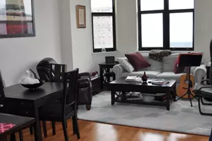 1464 S Michigan Ave, Chicago, IL 60605 - Photo 4