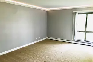 1931 Prairie Square, Schaumburg, IL 60173 - Photo 12