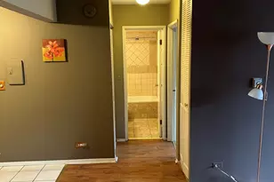 4623 N Chester Ave, Chicago, IL 60656 - Photo 10