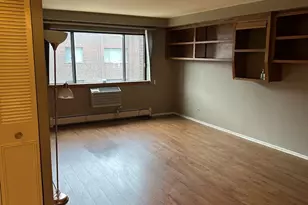 4623 N Chester Ave, Chicago, IL 60656 - Photo 6