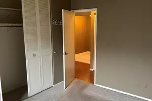 4623 N Chester Ave, Chicago, IL 60656 - Photo 12