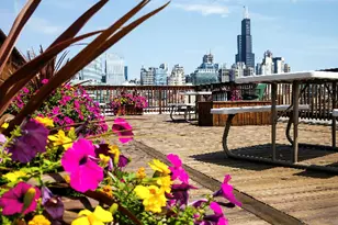 312 N May St, Chicago, IL 60607 - Photo 20