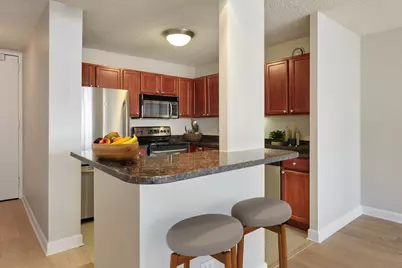 30 E Huron Street #3210, Chicago, IL 60611 - Photo 2