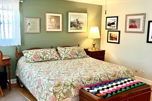 433 E Carpenter Dr, Palatine, IL 60074 - Photo 26